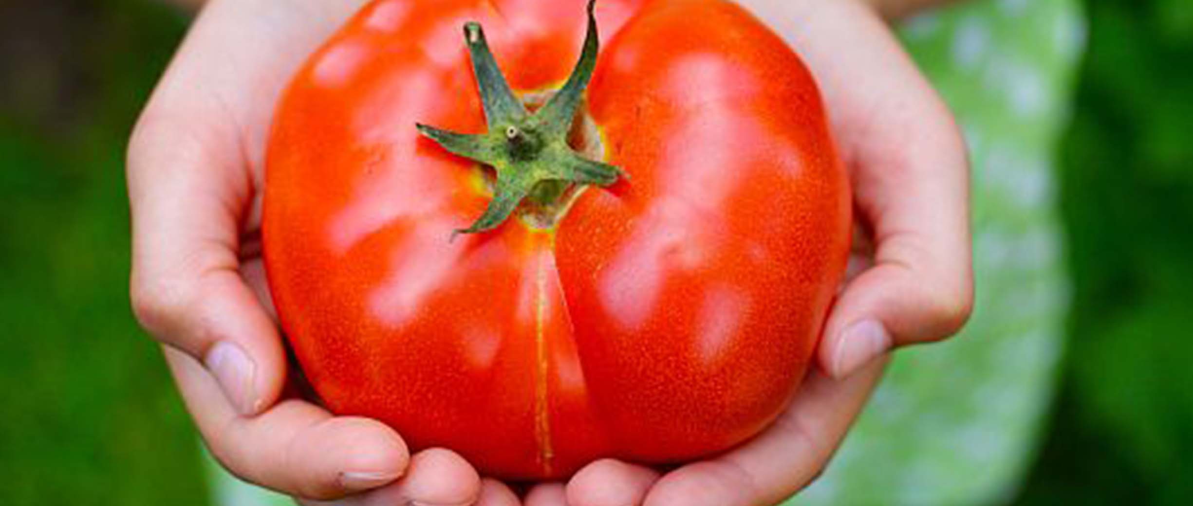 35-ways-to-get-your-kids-to-eat-tomatoes-land-o-frost